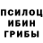 Конопля OG Kush ibad almakin