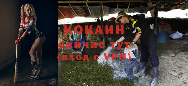 гидра Белоозёрский