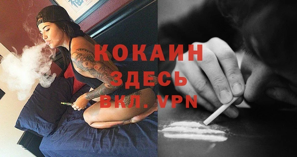 гидра Белоозёрский