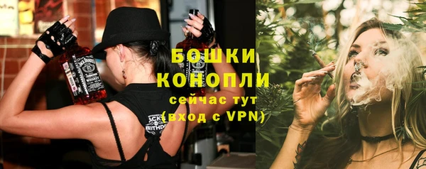 гидра Белоозёрский