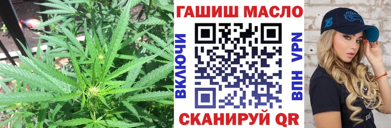 Дистиллят ТГК гашишное масло  Купить где  Бикин 