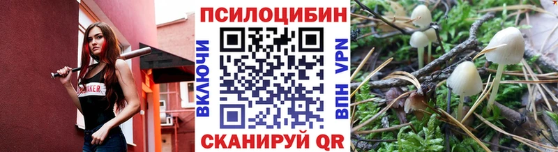 Купить закладки  Бикин  Псилоцибиновые грибы Cubensis 
